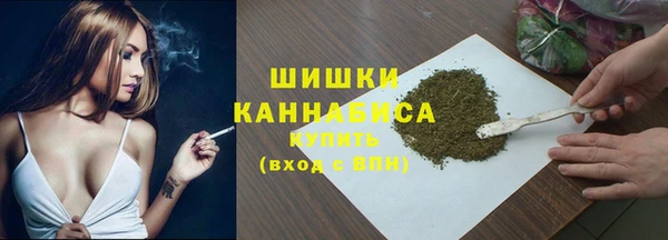 шишки Абаза