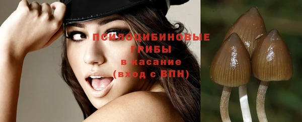 хмурый Абинск