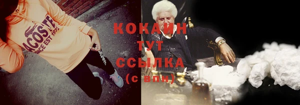 шишки Абаза