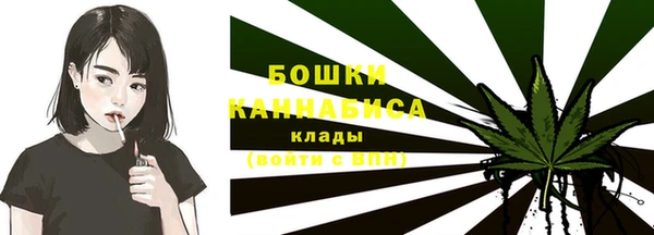 шишки Абаза