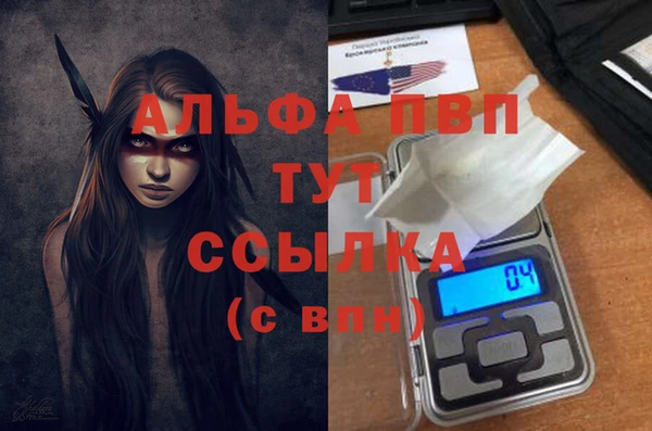 шишки Абаза