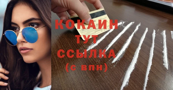 сатива Абдулино
