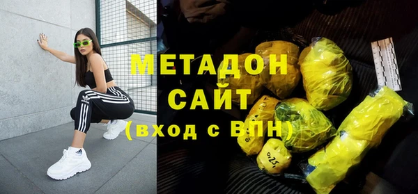 шишки Абаза
