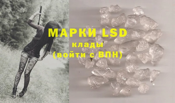 шишки Абаза