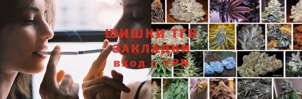 шишки Абаза