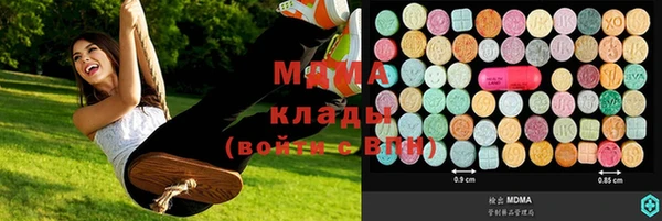 шишки Абаза