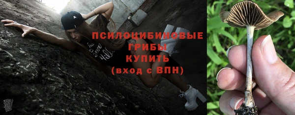 сатива Абдулино